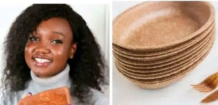 Nyadendi ma loso sande, okombe, gi ojike ma inyalo cham